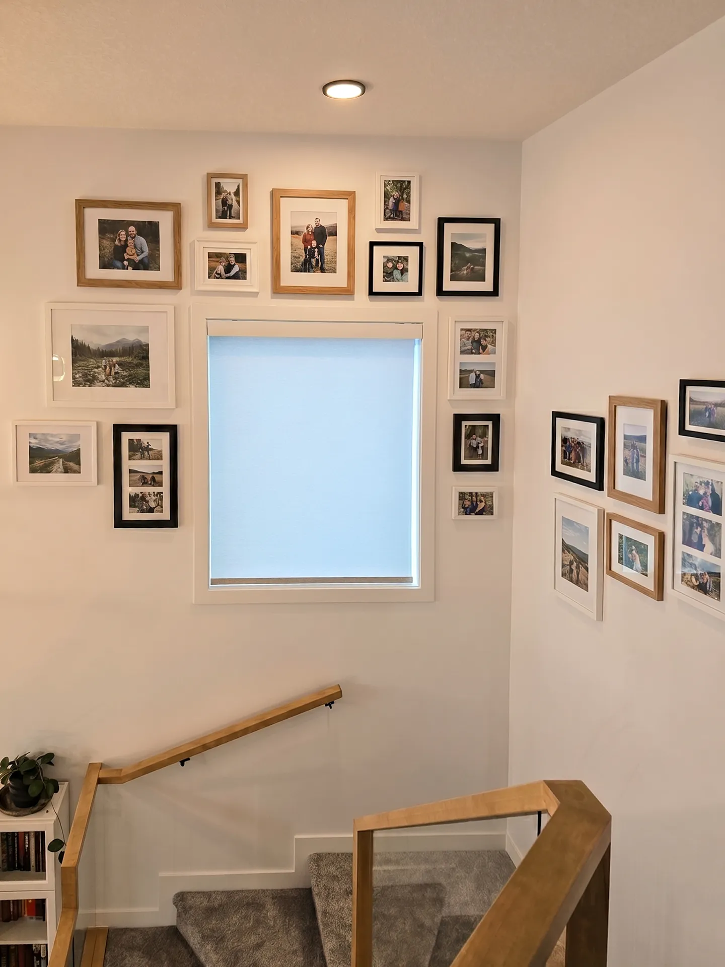 Roller Blinds