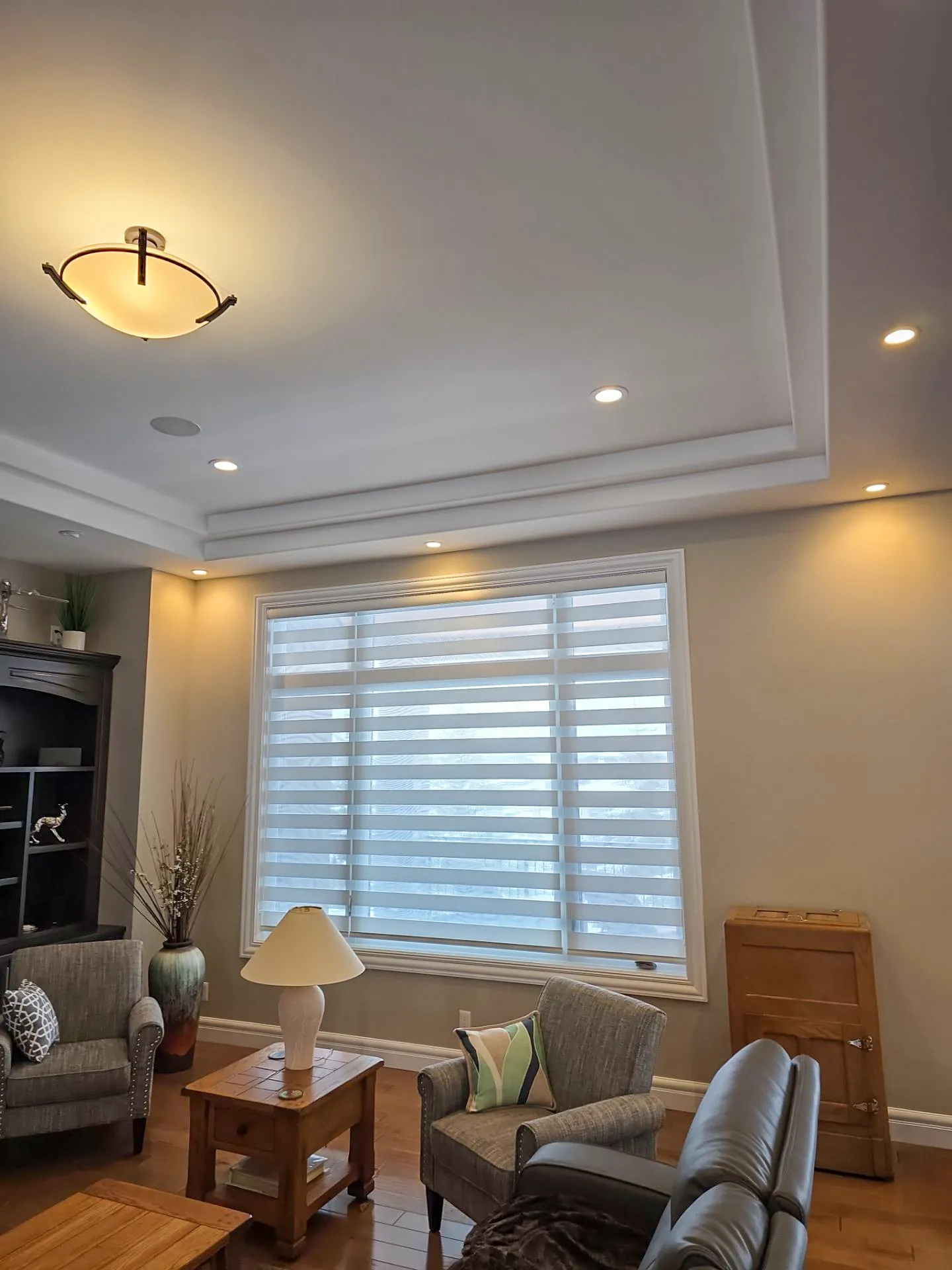 Zebra Blinds