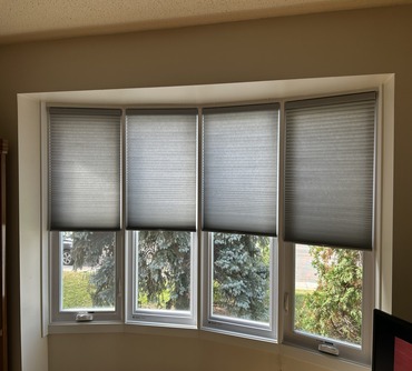 Honeycomb Blinds