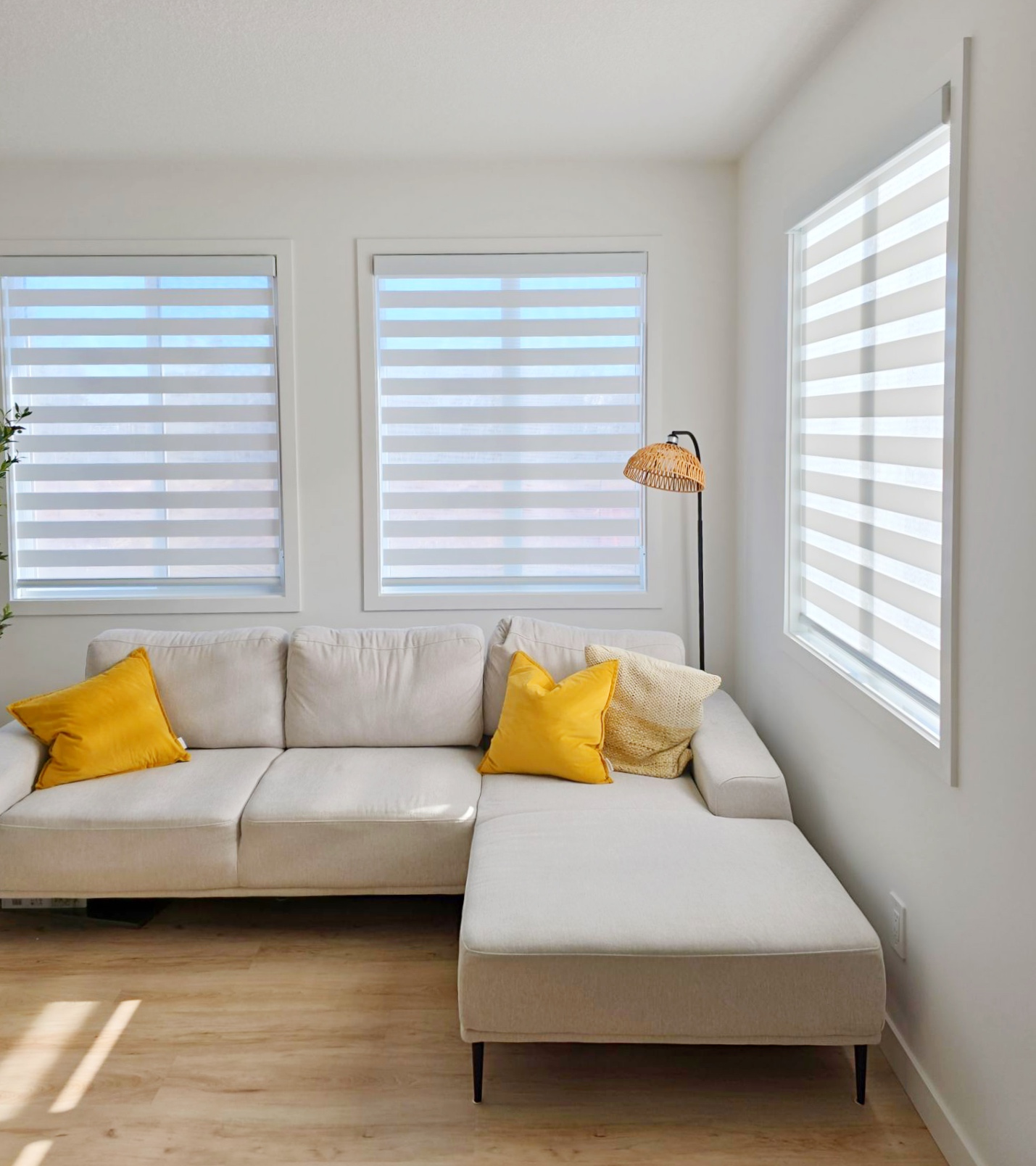 Zebra Blinds Edmonton