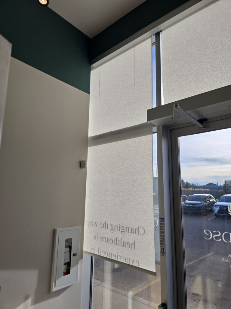 Edmonton retail store with large front windows fitted with Bold Blinds roller shades for glare control and UV protection.